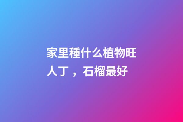 家里種什么植物旺人丁，石榴最好